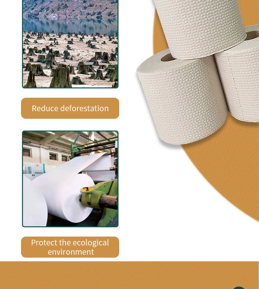 OEM Bamboo Toilet Tissue Paper 100%Bamboo Pulp No Irritating Decomposable 2/3/4ply Wholesale