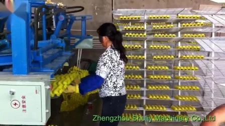 Paper Pulp Egg Tray Making Machine Fruit Egg Tray Production Line