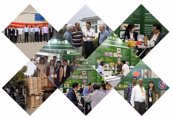 Veterinary Disinfectant 5% Glutaraldehyde and 5% Deciquam