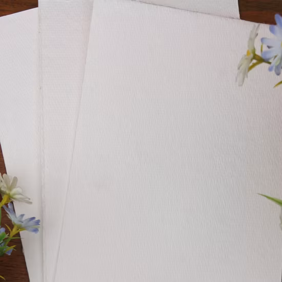 High Quality Virgin Wood Pulp From Brazil for Making Carrier Tissue Napkin Facial Tissue Toilet Tissue